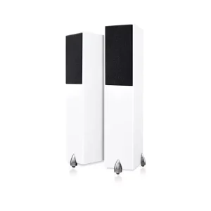 Totem Acoustic Forest