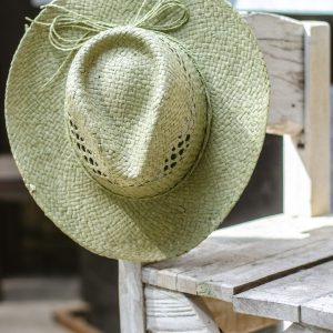 Chapeau Vert